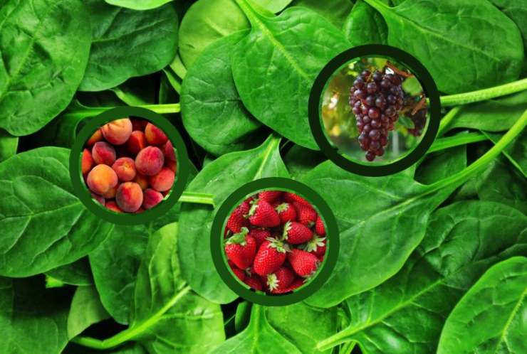 spinaci fragole grappolo di uva e pesche