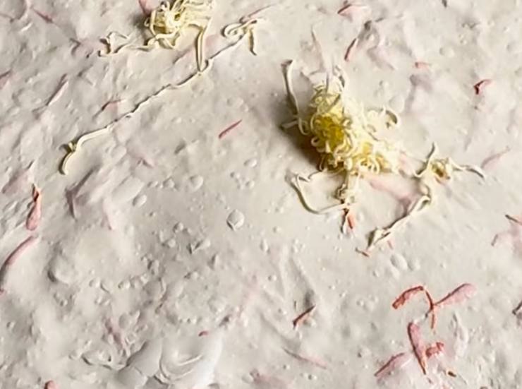 impasto pane al burro