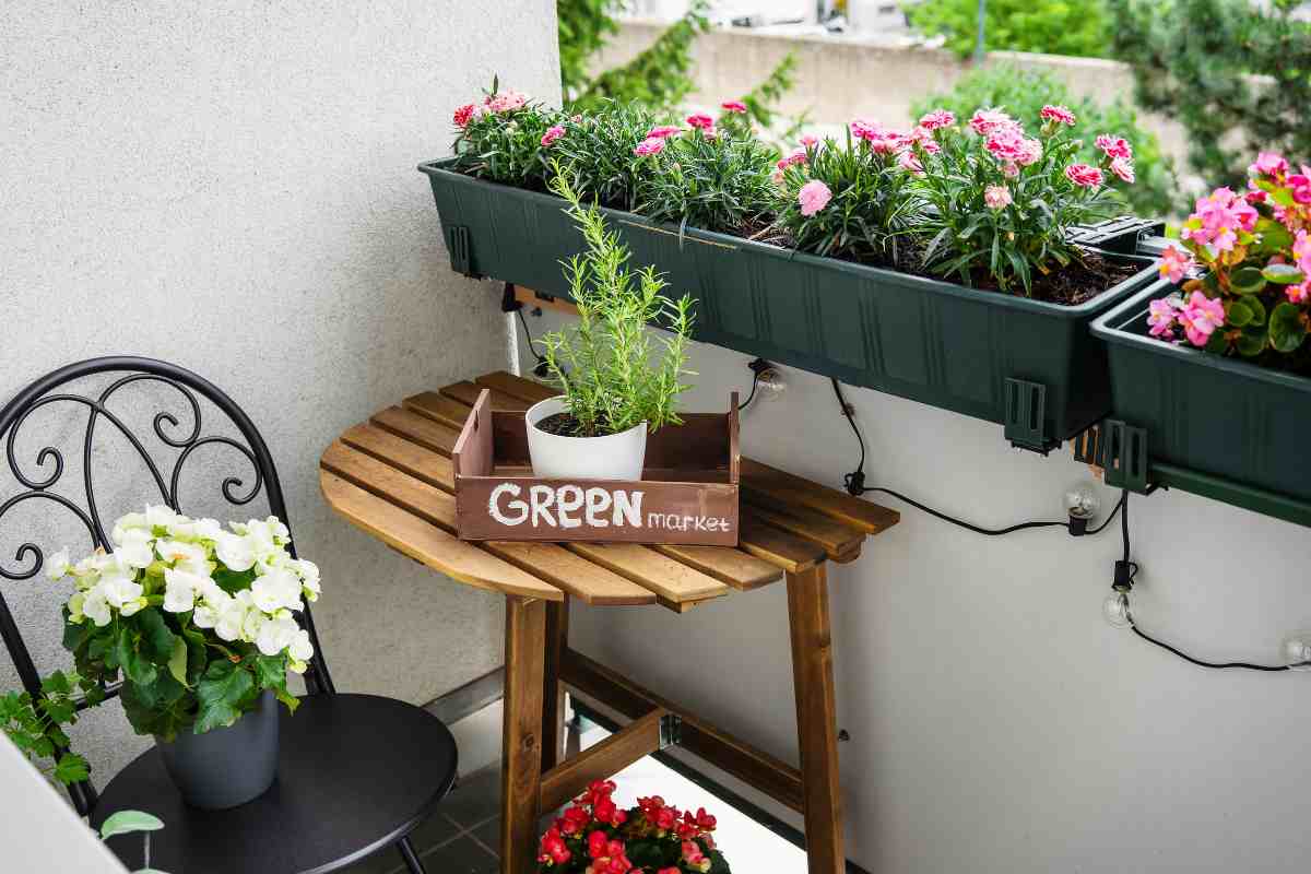 piante sul balcone