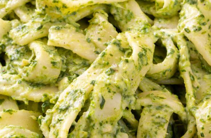 pasta lunga condita con crema di spinaci