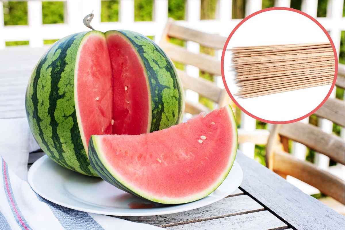 anguria stecchini di legno