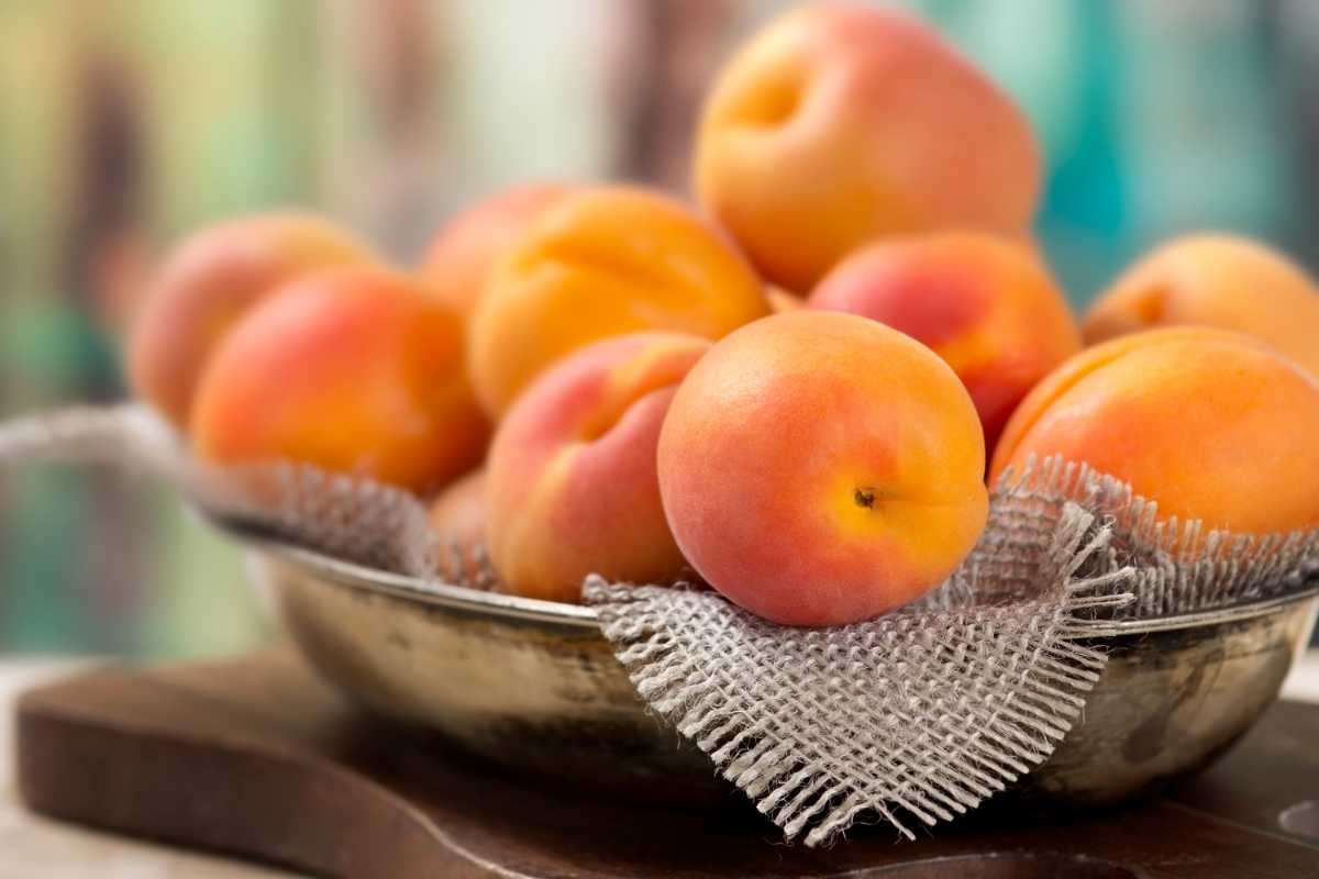Cestino con albicocche mature