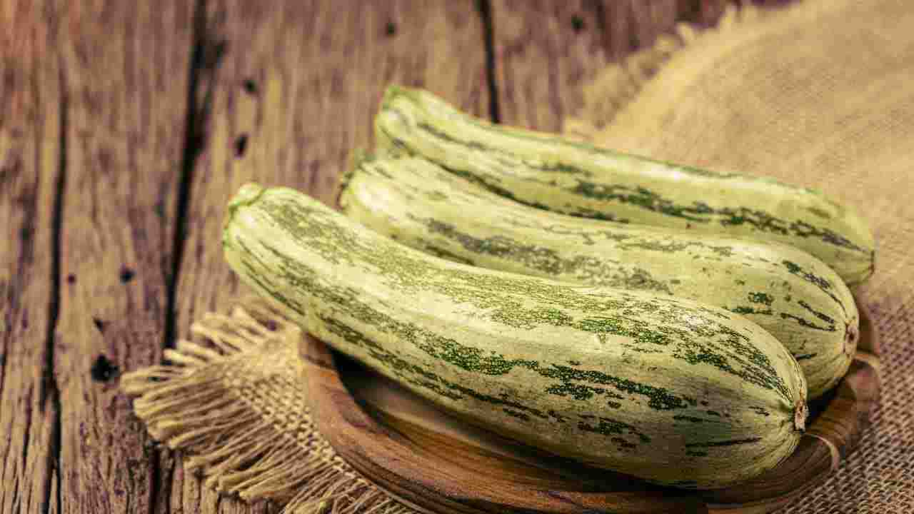 zucchine