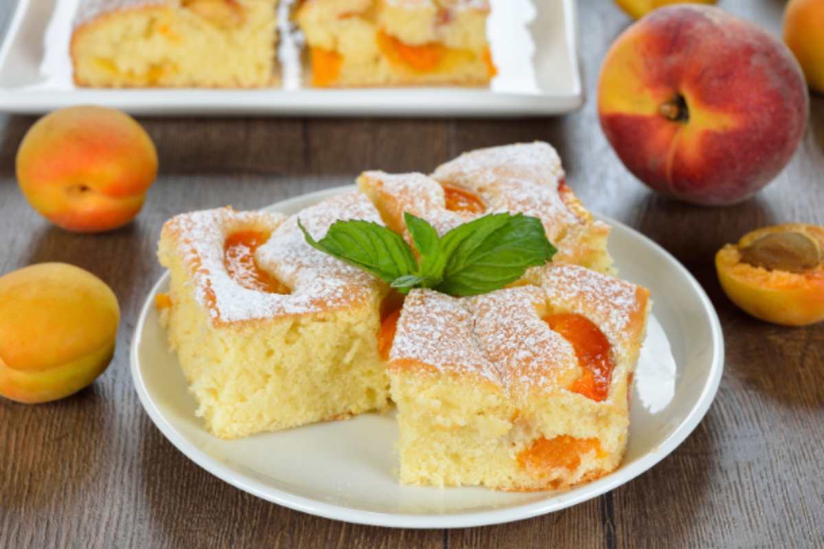 Fette di torta all'albicocca in un piatto