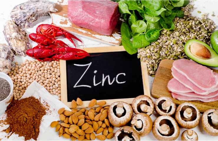 Alimenti che contengono zinco
