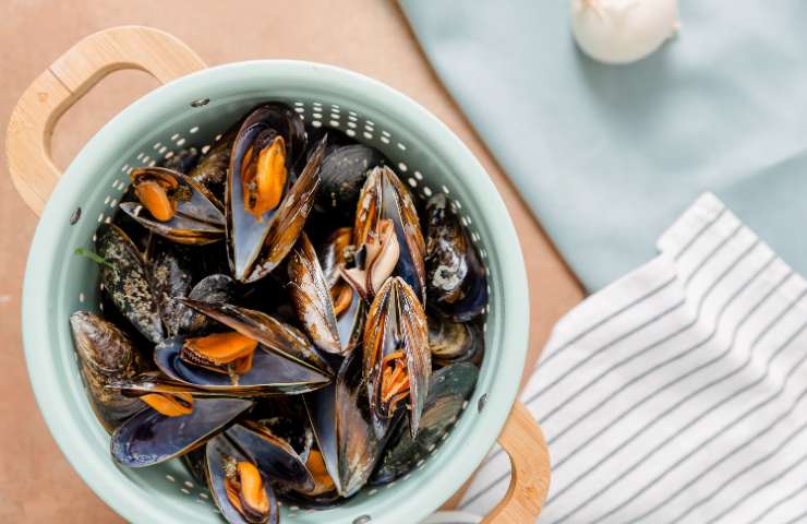 Delle cozze fresche in uno scolapasta
