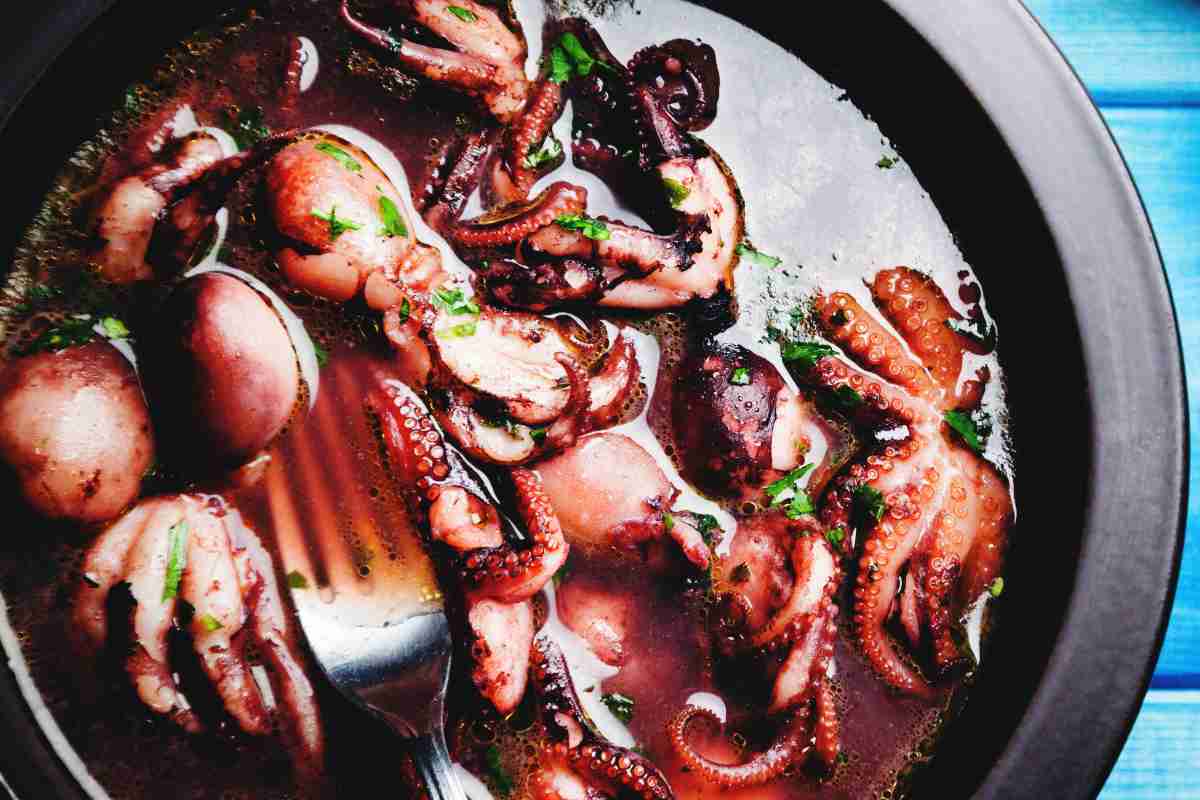 ciotola con polpo e acqua di cottura