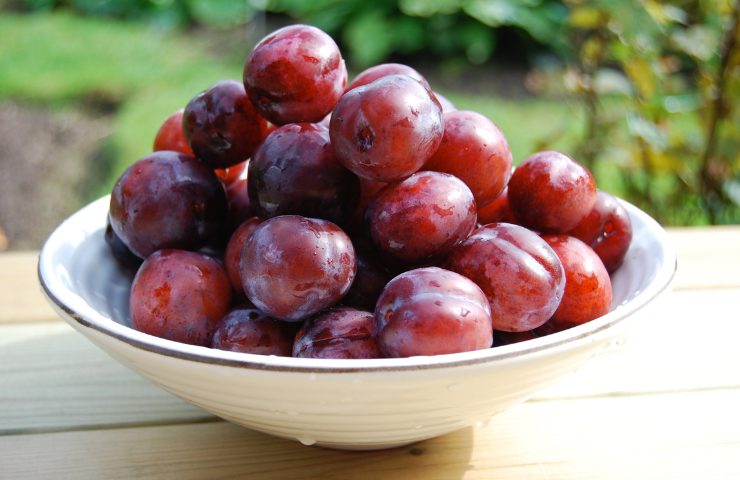 Una ciotola riempita con prugne fresche