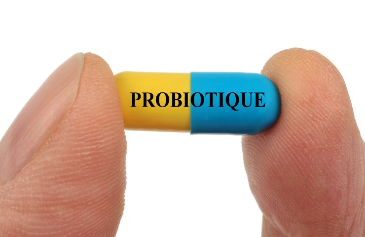 Un integratore probiotico