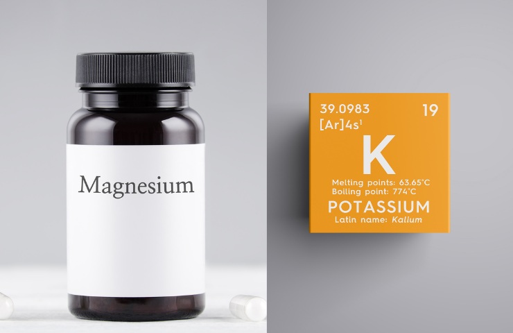 Magnesio e potassio