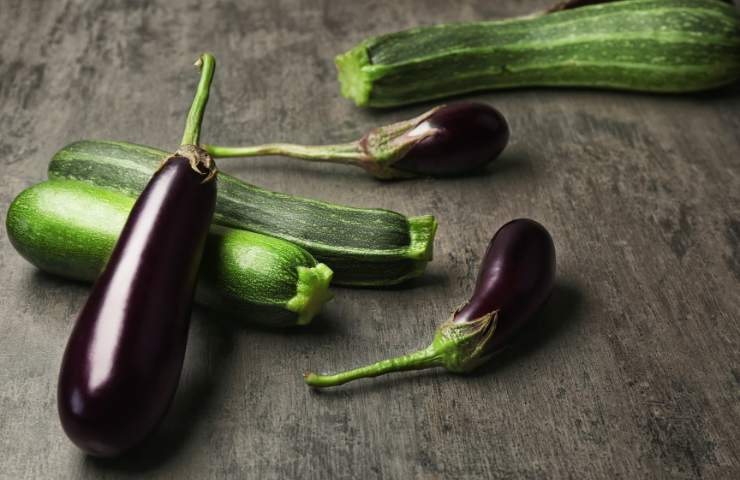 Melanzane e zucchine su un piano