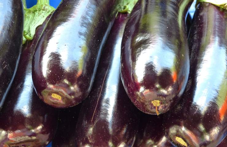Melanzane fresche ammassate