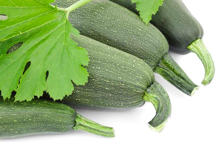 Delle zucchine di grandi dimensioni