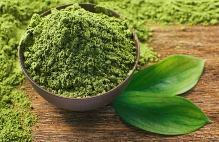 Della polvere di tè matcha verde in una ciotola