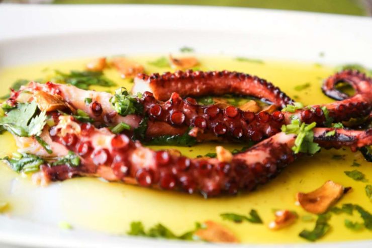 Polpo grigliato con olio aglio e prezzemolo