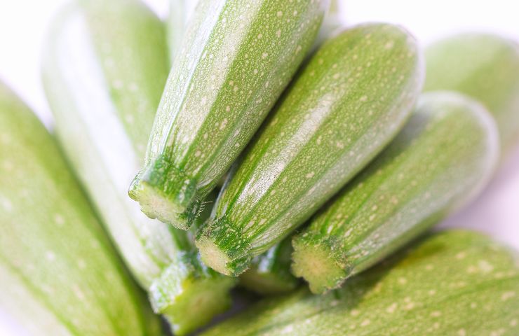 Delle zucchine fresche