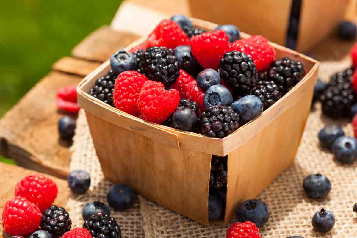 Frutti di bosco in una cassetta