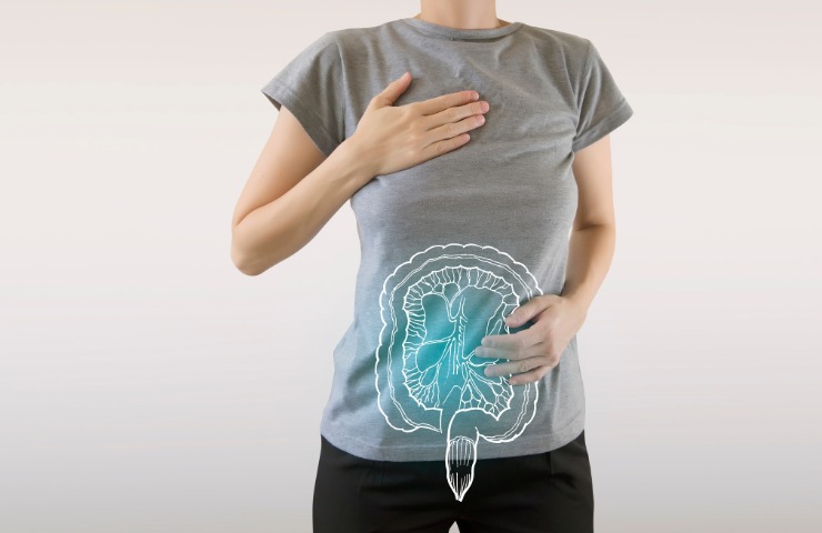 La raffigurazione di un intestino su di una persona