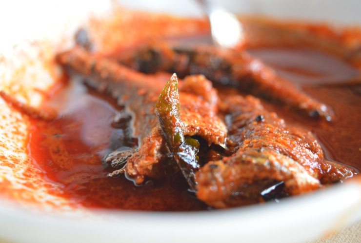Pesce al sugo in primo piano