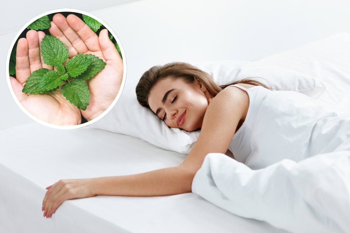 donna che dorme e foglie di menta