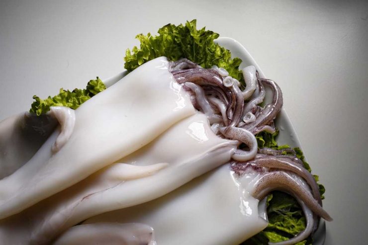 calamari 