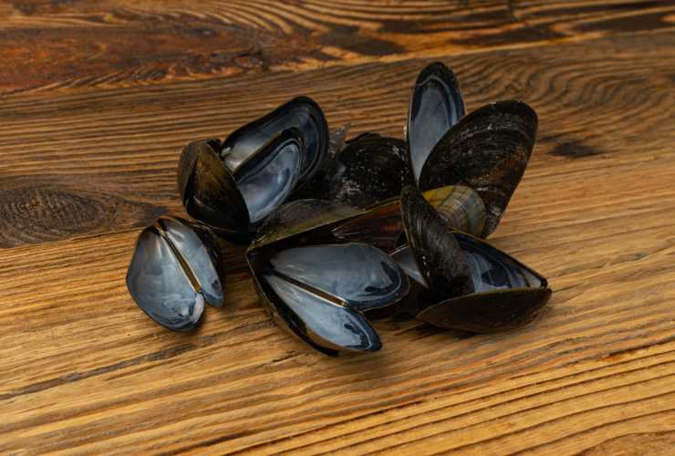 cozze e vongole