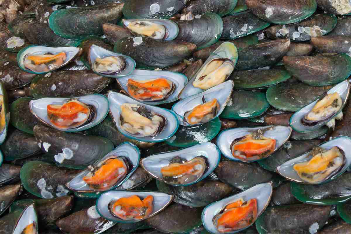 cozze crude