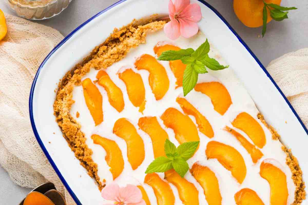 torta fredda con albicocche e biscotti