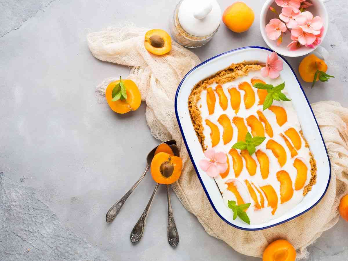 torta fredda con albicocche