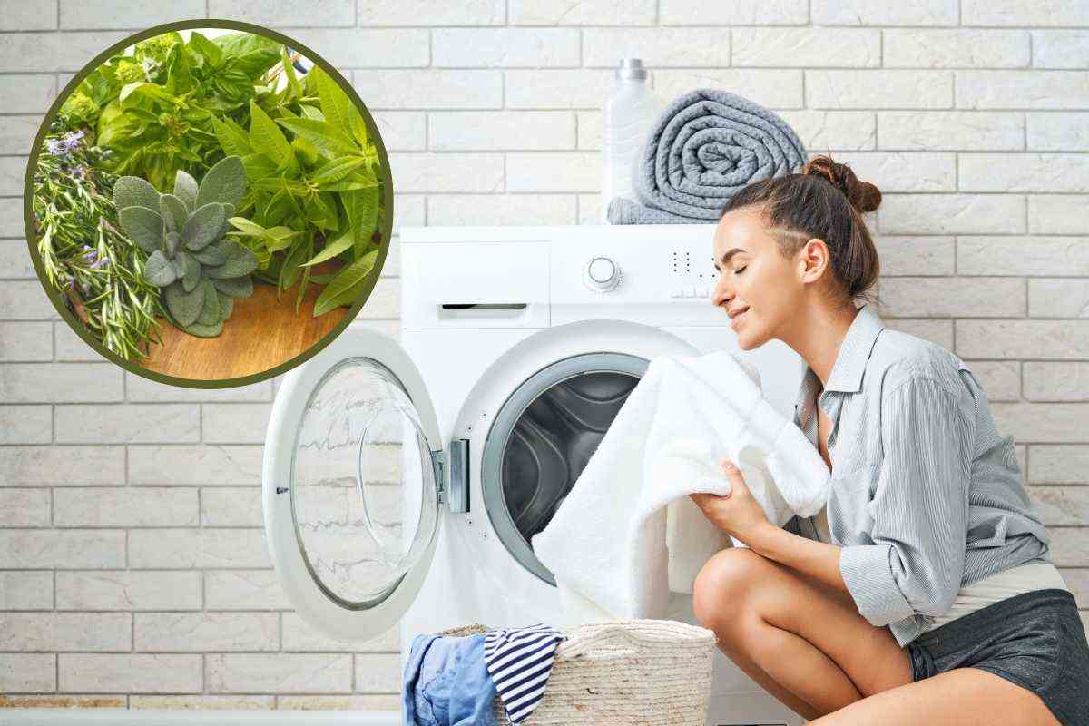 donna vicino alla lavatrice ed erbe aromatiche in cornice