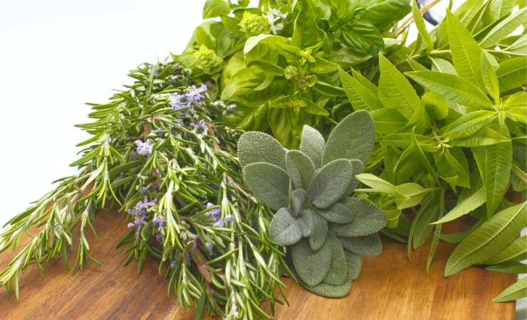 erbe aromatiche sul tavolo