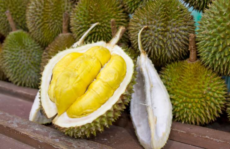 il frutto durian