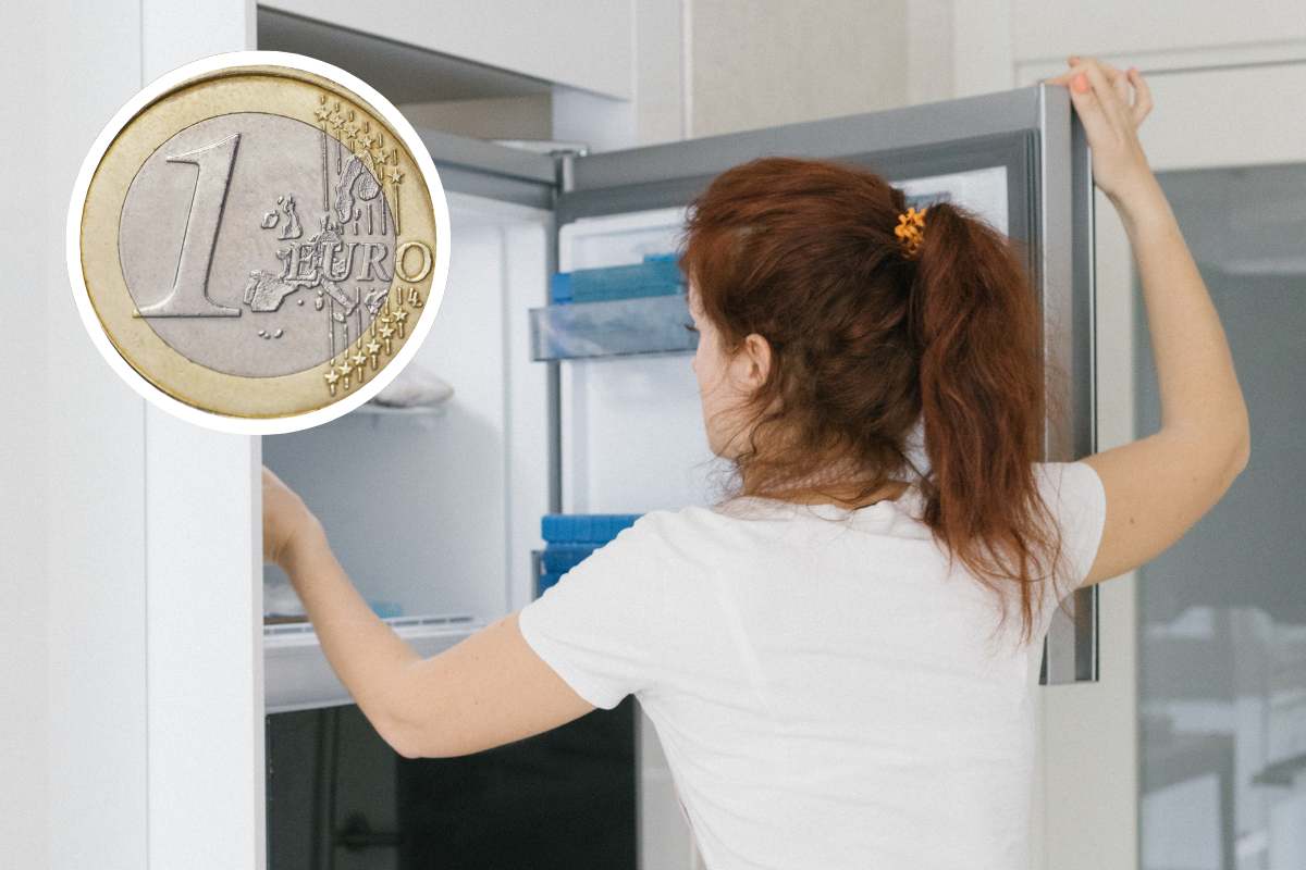 donna che apre freezer e moneta da un euro
