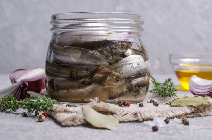 pesci fermentati dentro ad un barattolo