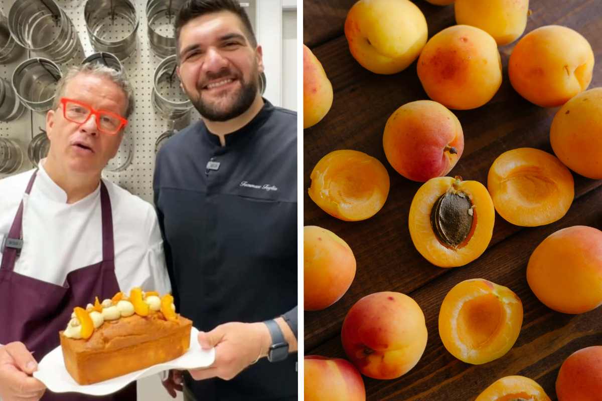 plumcake albicocche Ernst Knam e Tommaso Foglia