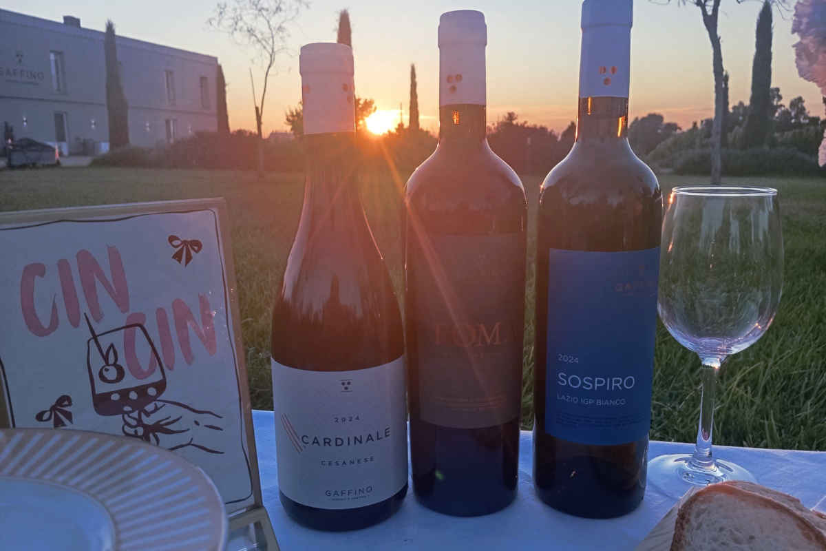 Bottiglie della cantina Gaffino al tramonto