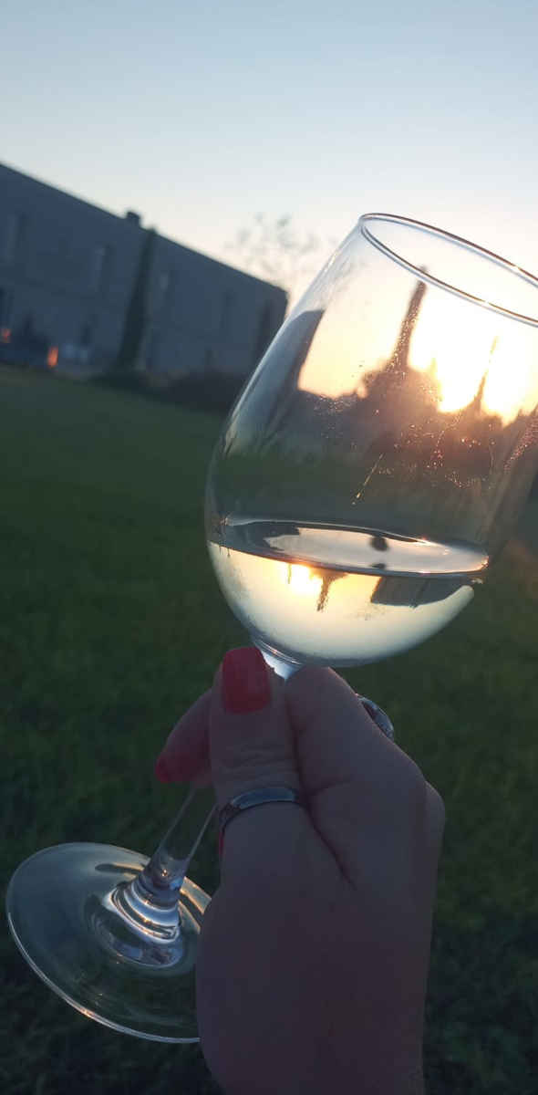 Calice di vino bianco al tramonto