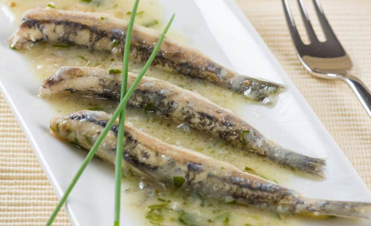 piatto di alici marinate cotte