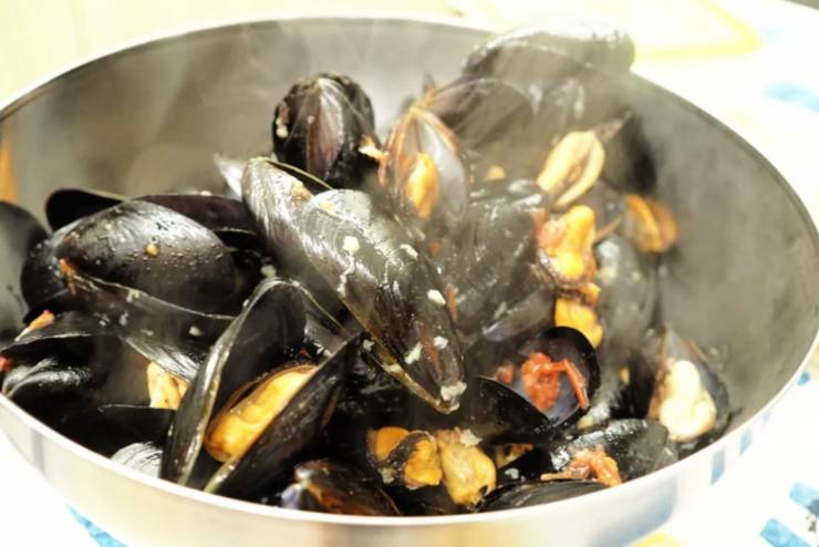 cozze in cottura in una pentola