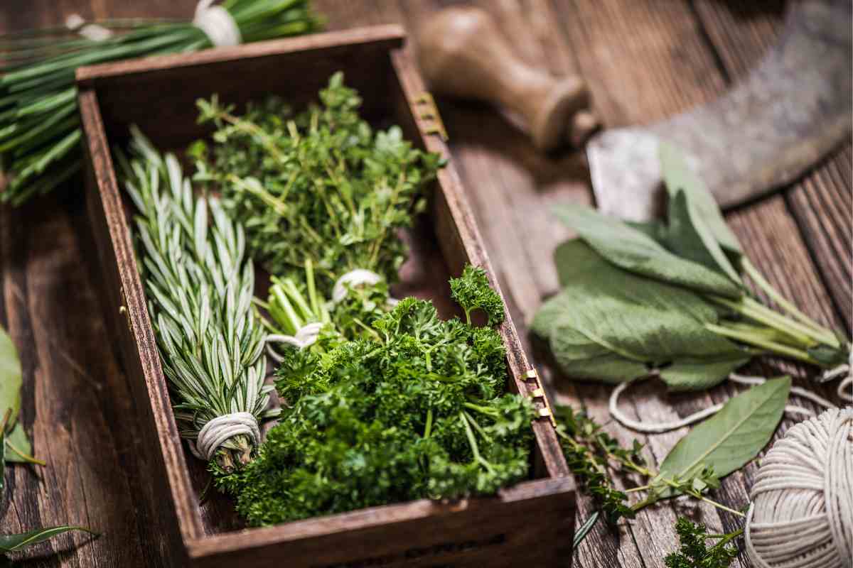 erbe aromatiche in cassetta