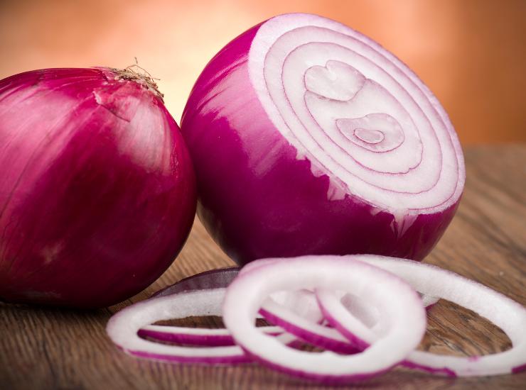 cipolla