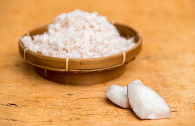 Polpa di cocco essiccata