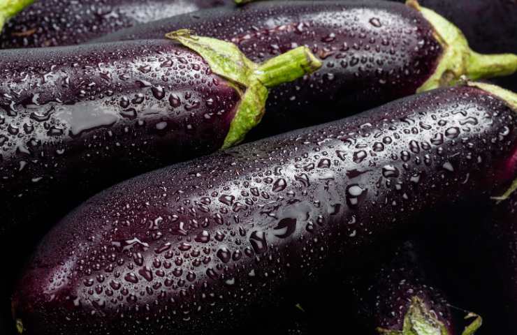 Delle melanzane fresche bagnate