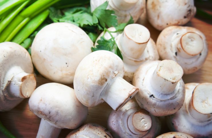 Dei funghi champignon