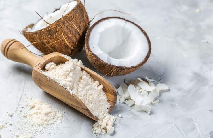 Farina di cocco ed un cocco tagliato a metà e svuotato