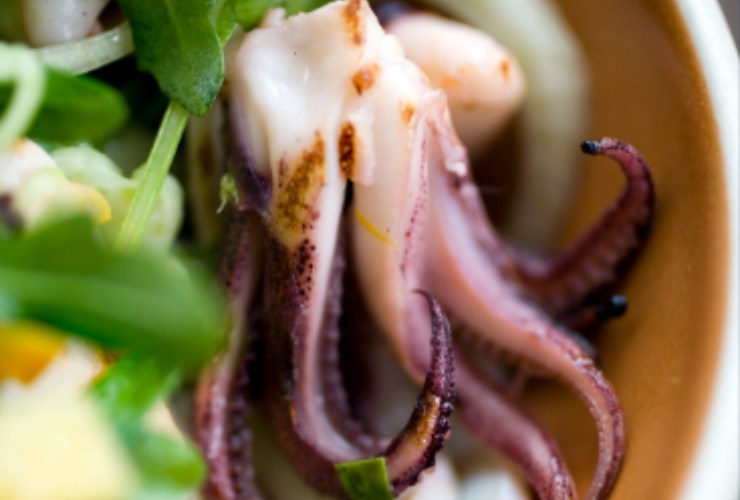 Calamaro all'insalata