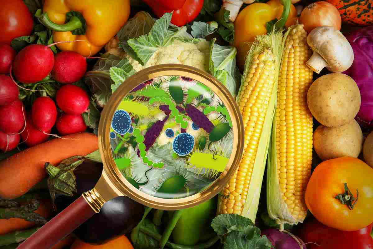 Del cibo soggetto a contaminazione alimentare