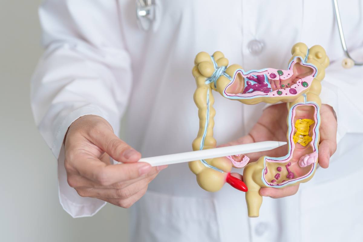 Un esperto che indica un modello di intestino e colon