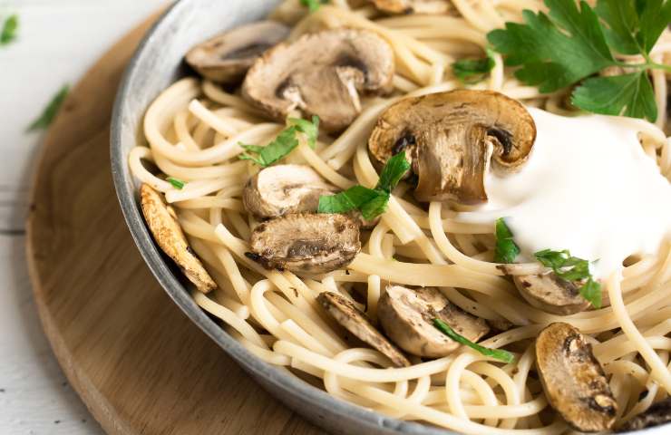 Pasta alla crema di funghi in un piatto