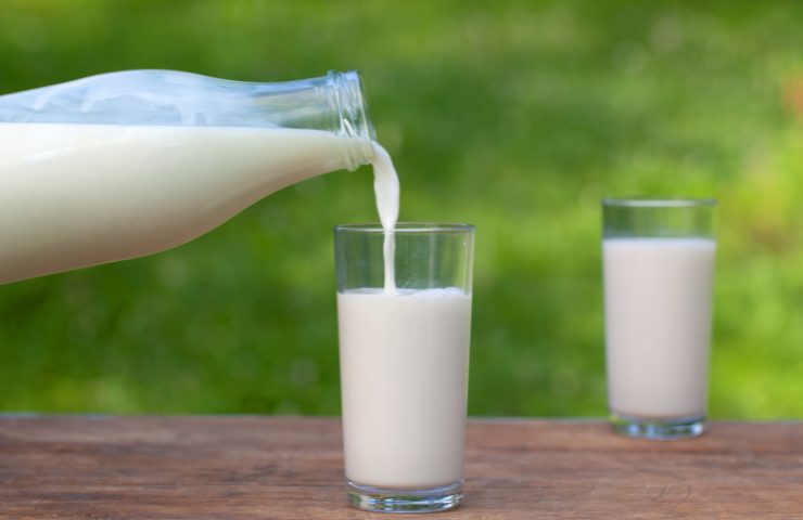 Due bicchieri di latte appena munto